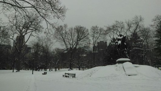 toronto-personal-trainers-winter